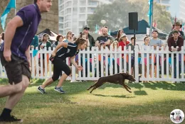 img-koshkamedia-event-photography-121