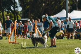 img-koshkamedia-event-photography-124