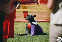 img-koshkamedia-event-photography-167