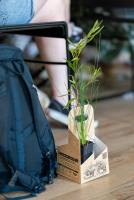 01_Garden_Comp_24-75-min