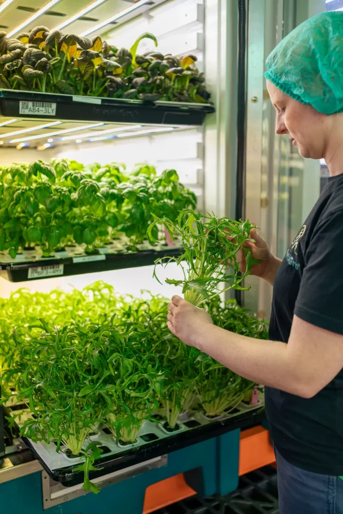 Branding photography showcasing agtech innovation at InvertiGro