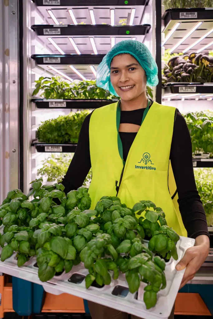Team working with agtech systems at InvertiGro Sydney facility