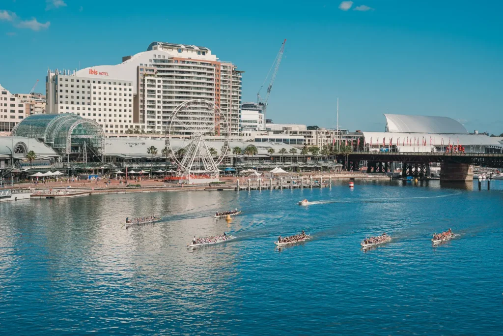 Dragon boats racing across Darling Harbour with Pyrmont Bridge and waterfront skyline