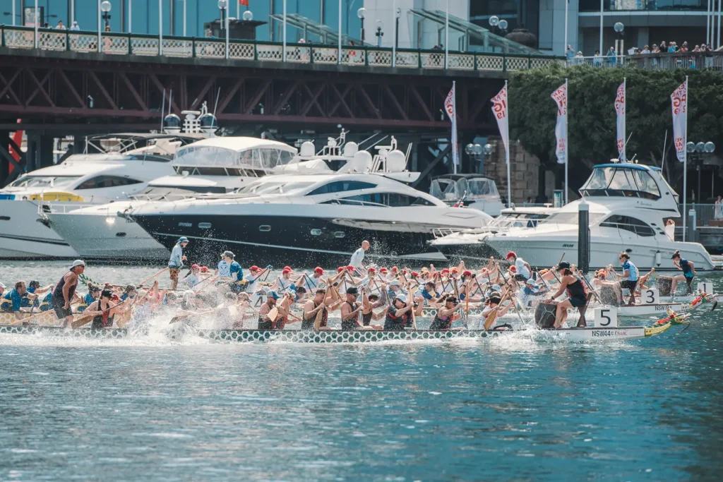 Several dragon boat teams racing side by side near Pyrmont Bridge and marina yachts in Sydney