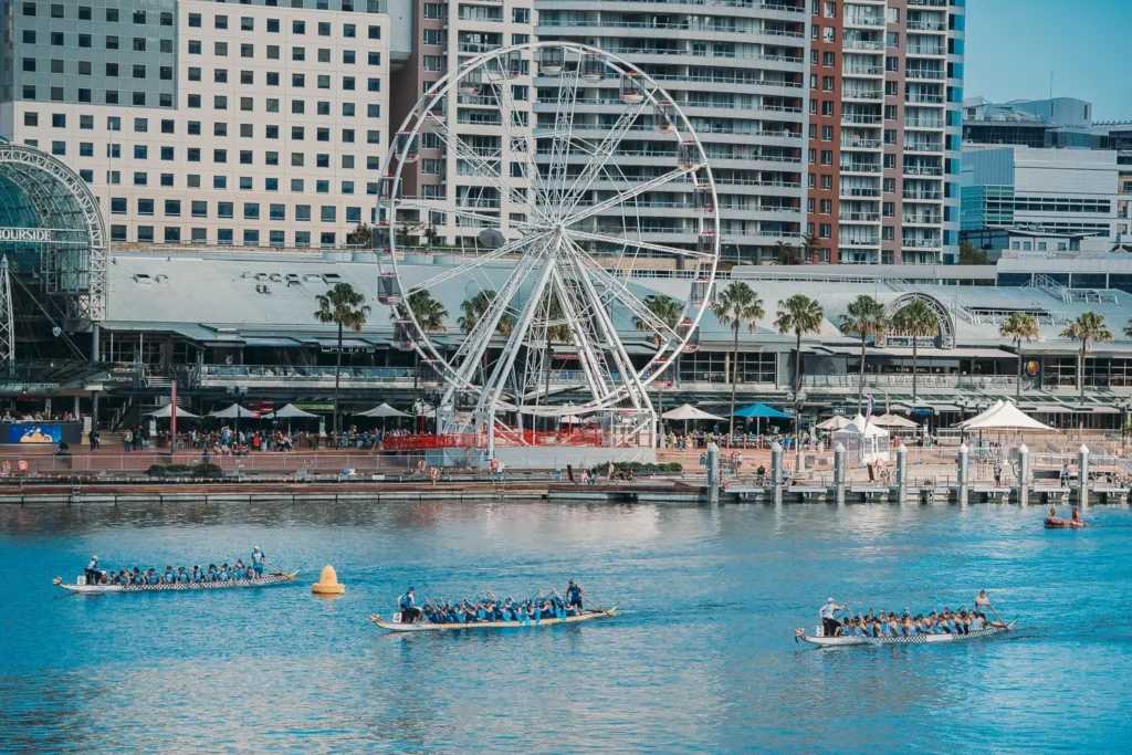 Dragon boat teams paddling across Darling Harbour with ferris wheel backdrop