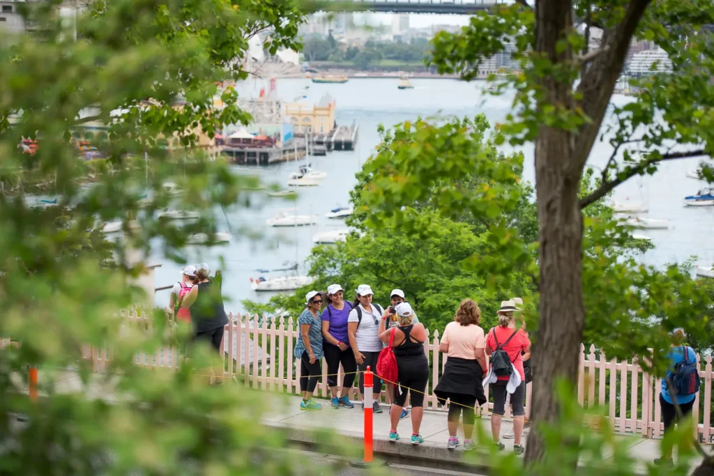 Participants enjoying a harbour lookout during the Bridges Walk in Sydney