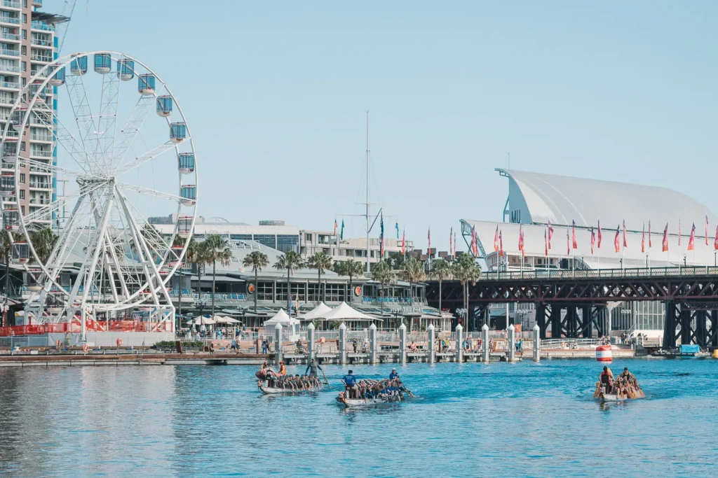 Dragon boats racing with Sydney waterfront ferris wheel in background