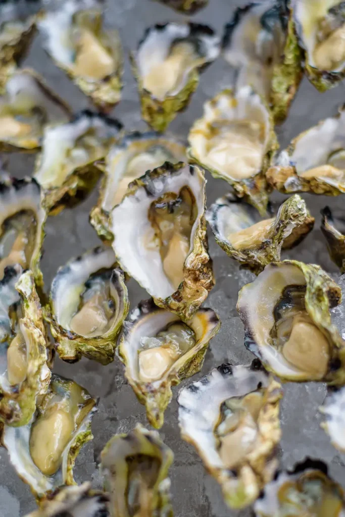 Fresh oysters served at Taste of Manly food and wine festival