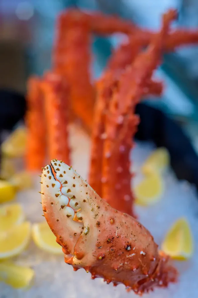 Fresh seafood display at Taste of Manly food and wine festival